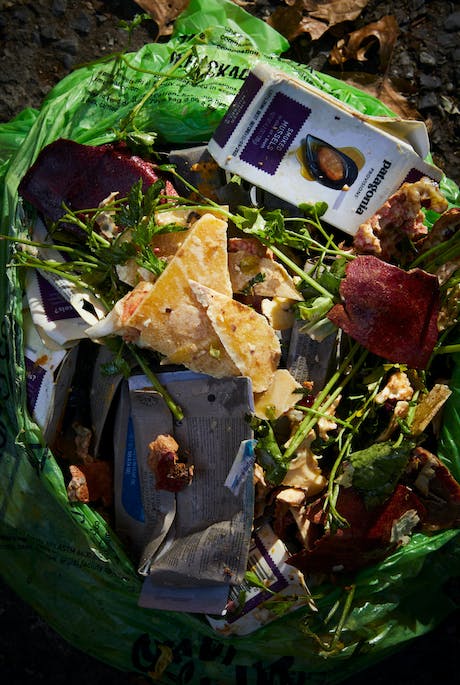 A bag of scraps for composting