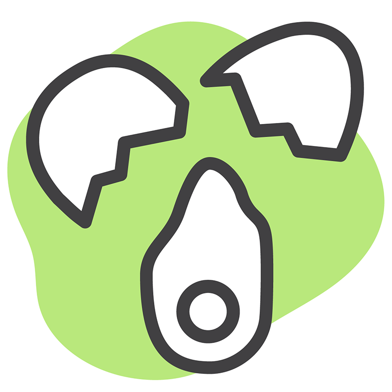 Icon of a cracked egg and eggshell
