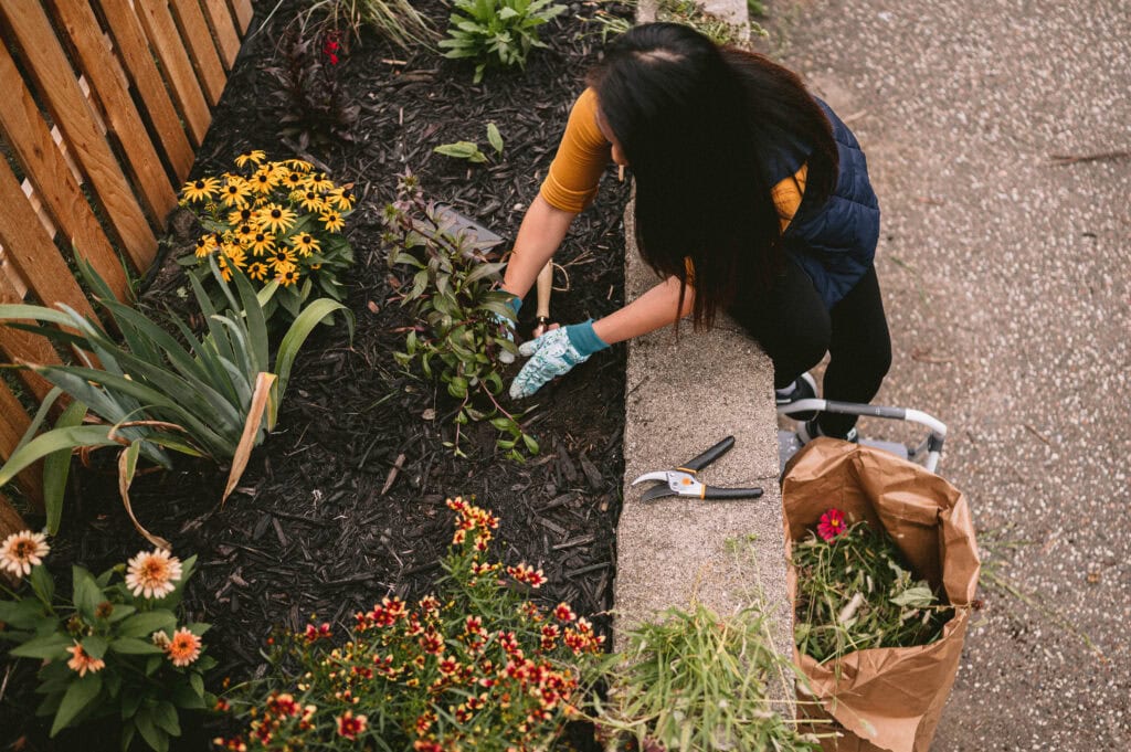 Compost market development