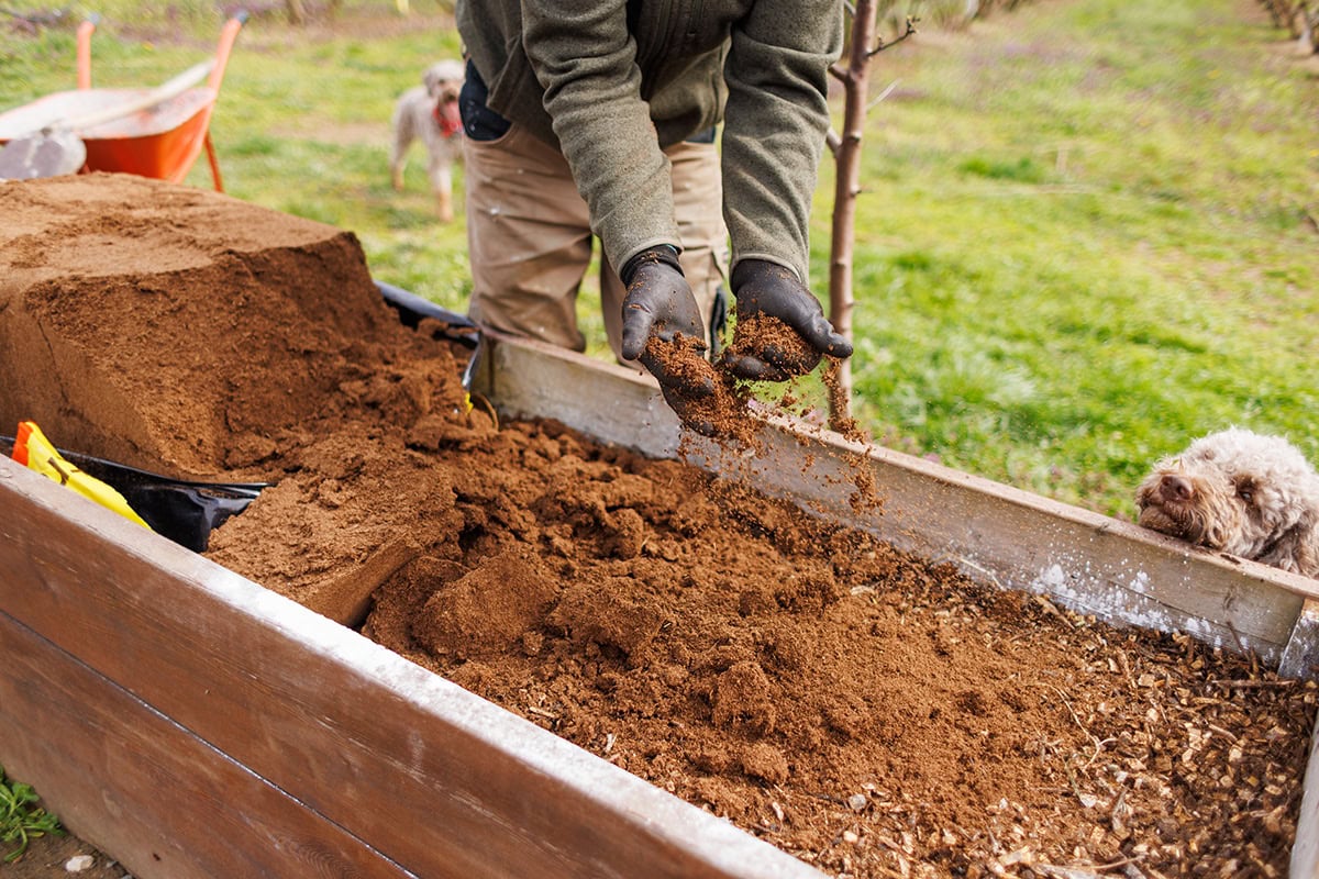 Compost